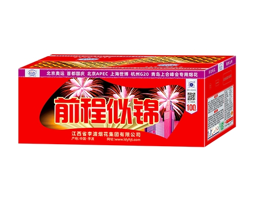 1寸100发前程似锦